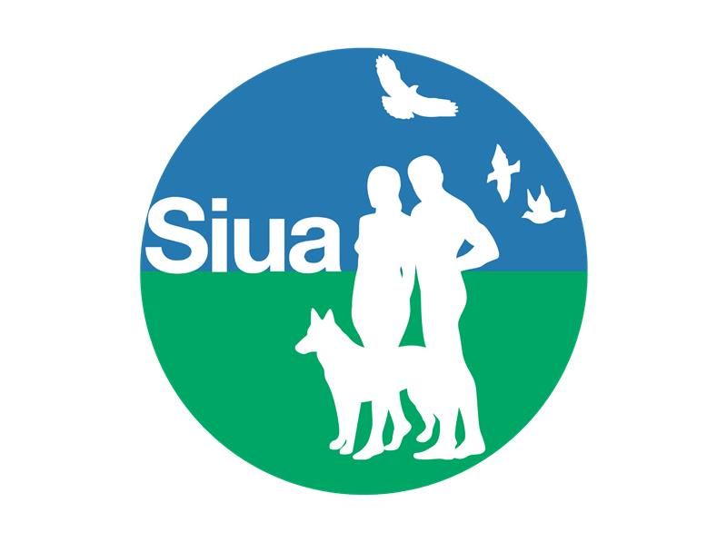 Siua